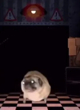 Dancing Pug. <3 #fyp #fypシ #funnyvideos #pug #fnaf #puppet #musicbox 