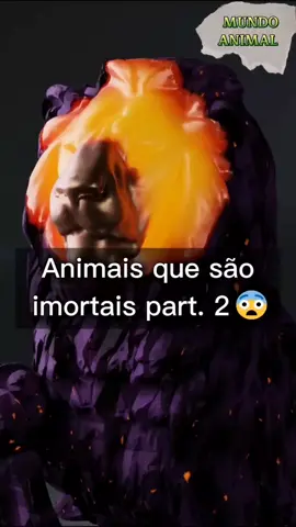#MundoAnimal #animals #animal #animaisnanatureza #animaisselvagens #NaturezaPerfeita #animaisexóticos #bichos #animaisdotiktok #animais #animaisfortes #vídeosdeanimais #Curiosidades #animaisincríveis #animaldeestimação #NaturezaBonita #memesdeanimais #animaisfantasticos #animaisfofos #AnimaisFantásticos #tigres #cobra #cachorro