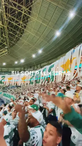 EU SOU PALMEIRAS ! #palmeiras #manchaverde #torcida #futebol #copadobrasil #brasil #viral #viraliza #foryou #video 