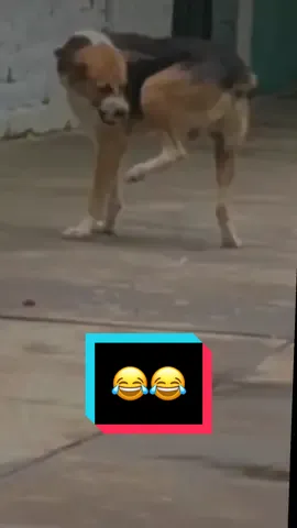 U là trời 🤣 #chuhaibolero_ #haihuoc #vuinhon 