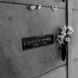 #marilynmonroe #dead #funeral #gentlemenpreferblondes #diamondsareagirlsbestfriend #loreleilee #lorelei #40s #50s #60s #1940s #1950s #1960s #мерилінмонро #похорони #джентельменивіддаютьперевагубілявкам #лорелейлі #лорелей #діамантикращідрузідівчат #40ві #50ті #60ті #голлівуд #старийголлівуд 