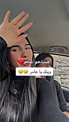 وينك يا عامر 🤣🤣 #CapCut  #sam_4994 #fypシ #ArabTikTok #viral #صباحو #عامر  #🇸🇦 #🇶🇦 #🇦🇪 #🇧🇭 #🇴🇲 #🇬🇧 #🇮🇶 #🇪🇬 #🇦🇺 #🇸🇪 #🇸🇾  @Sam 