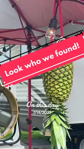 #onthisday the day we found these yahoos in southern iowa. 