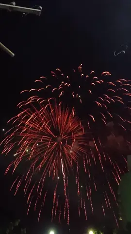#Firecracker #likeplease  #nightsky #viralvideo #foryoupage #tiktokwallpaper #festival #fyp #wallpapervideo #beautiful#minister #viral #fypシ #beautifuldestinations  #recommendations 