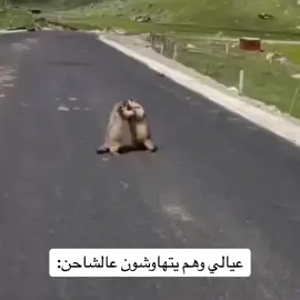 #اكسبلور #مالي_خلق_احط_هاشتاقات 