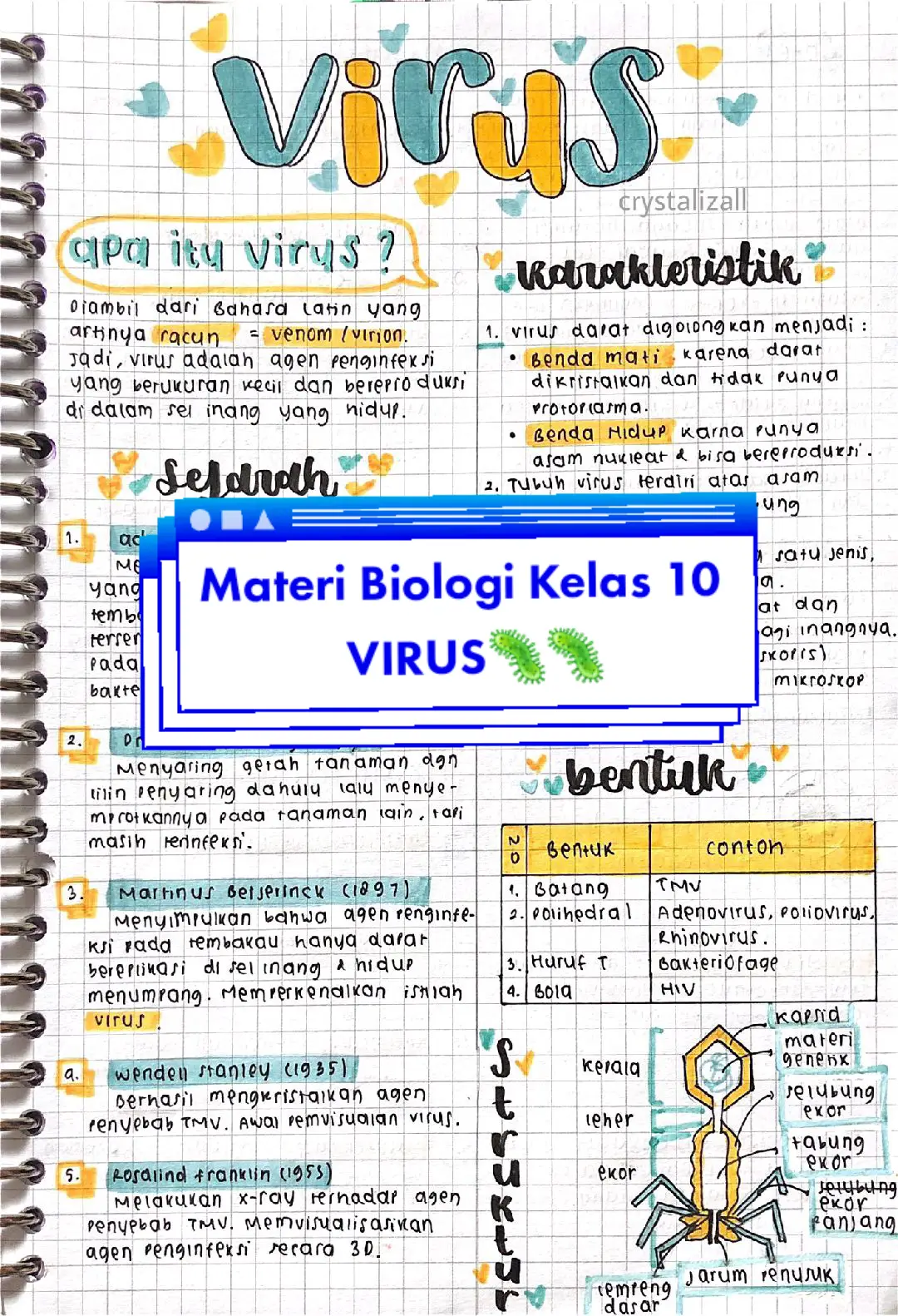 Kelas: 10 Persiapan H-2 sebelum masuk sekolah nih,biar ga kaget ketemu materi baruuu‼️😇 #kurikulummerdeka #kurikulummerdekabelajar #biology #ngambis #fyp #fypシ 