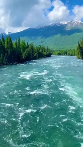 #scenery #foryou #tree #river #water 