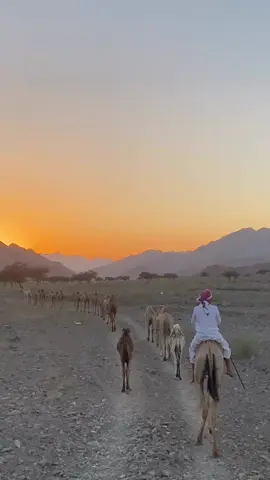 #عطايا_الله🐪 #تصوير #اكسبلورر #اشعب_اصيني_مال_حال #حلاوة_اللقاء 