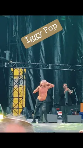 @Iggy Pop #2023 #iggypop #foryou #vienna #punkmusic #rockstar #tiktok #shorts #live #ernsthappelstadion #concert #crazy 