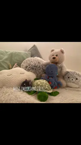 <3 #CapCut #happiness #fyp #foryoupage #fypシ #fypageシ #fypageviral #viral #viralvideo #foryoupage #fypage #fypdongggggggg #foryou #sunset #dogmom #baby #babyboy #trending 