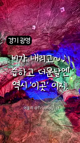에어컨 바람보다 더 시원한 차갑고 신기한 동굴 속으로 아이와 함께 가보면 어떨까요? 🔹여행지정보 장소 : 광명동굴 주소 : 경기 광명시 가학로85번길 142 전화 : 070-4277-8902 입장료 : 어른 6,000원, 청소년 2,500원, 어린이 2,000원 *36개월 미만, 장애인, 국민기초생활수급자 무료(증빙자료 필) *광명시민과 만65세 이상은 할인 운영시간 : *매주 월요일 휴관 화요일~일요일 09:00~18:00(17:00입장마감) *성수기때는 휴관일 없이 1시간 연장 운영 *성수기 날짜는 변동될 수있음 *23년도 성수기 7/21~8/15 까지 🔹주차정보 -일반, 장애인 주차공간이 있어요 -전기차 충전공간이 있어요(완속3대) *장애인, 다자녀, 국가유공자는 면제에요 *경차, 저공해차는 50% 할인돼요 🔹주의사항 -키가 큰 사람은 머리 조심하세요 -계단에서는 천천히 다녀주세요 -뛰면 안돼요 -음식물 반입이 금지에요 -모든 구역이 금연이에요 -반려동물 출입이 금지에요 -유모차 반입이 금지에요(입구까지는 가능) 🔹편의시설 -외부에 의무실이 있어요 -외부에 수유실 및 기저귀교환대가 있어요 -카페가 있고 쉴수있는 파라솔 테이블이 많아요 -푸트코트가 있어요(주차장 쪽) 🔸여플리 TIP -동굴 내부에 한국 와인샵이 있어요(시음도 가능해요) -아기띠를 꼭 챙겨주세요 -주차장에서 동굴입구까지는 유모차이용이 가능해요 *동굴입구 앞에 유모차를 두고 입장하면 돼요 -동굴 온도는 연평균 12도에요(긴팔 챙겨가세요) -동굴 이외에 보물탐험, VR체험이 있어요(유료) *이용요금은 홈페이지를 참고해주세요 🔸여플리 생각 주차장공간 ★★★★☆ 유모차활용 ★☆☆☆☆ 화장실청결 ★★★★☆ 유아휴게실 ★★★★☆ #아이와가볼만한곳 #아이와여행 #광명동굴 #광명 #서울근교나들이 #서울근교여행 #여플리