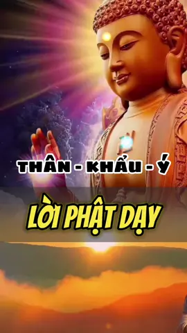 Lời Phật dạy: THÂN - KHẨU - Ý Giác ngộ lời Phật dạy 🙏 #phatphapnhiemmau #nammoadidaphat #nammobonsuthichcamauniphat #phatgiao #phatphap #loiphatday #phatphapvadoisong #phatphapvobien #giacngo #đạophậtvàđờisống #lờiphậtdạy #phậttạitâm #kinhphật #phậtphápnhiệmmầu #phậtgiáo #phậtpháp #đạophật #tinhtam  #tĩnhtâm #đạophậtvàđờisống 