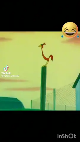 #الديك المزعج#الكلب والديك#cartoon #كرتون مظحك جدا #مقاطع مظحكه #كرتون مظحك 