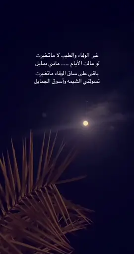 #ابونوره_الديحاني #المطيري #fyp #قصائد #شيلات #viral #viralvideo #tiktokindia #tiktokindia #tiktokuni #tiktoknews #tiktok_india #tiktok #tiktoker 