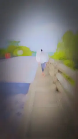 #foryoupage❤️❤️ 