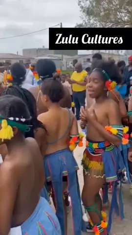 AFRICAN_ZULU #tiktokafrica #fyp #culture #Africa #dance #zulu #zulutiktok 