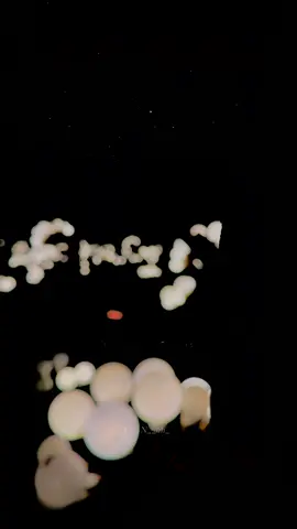 يانفــس ماهــذي بِدَار إقامــةٍ .. #تصميمي #تصويري📸 @ناصر السعيد #الدنيا_علمتني #الاخره_دار_الحق 