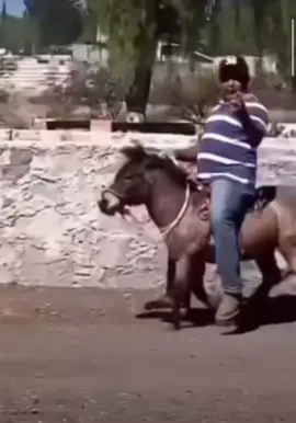 Se volvio loco el Burrito 🐴😂 #meme #optimusprime #parati #funny #🤣🤣🤣 