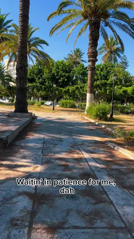 #CapCut #kokarhanash #tree #morning #runawayaurora #صباح_الخير #nature #sunday 