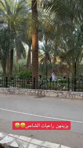 #جادة_النخيل #عنيزه_القصيم #اكسبلوررررر #جزله 