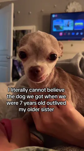 a little grief laugh for your saturday