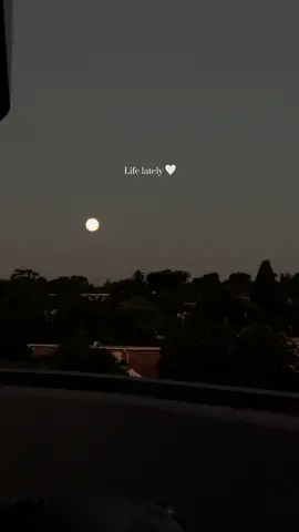 🫶🏽 #aestheticvideos #Lifestyle #moodyaesthetic#romanticizeyourlife#fypシ 