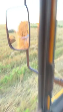 #foryou #baloti #gheorghearmasaru 