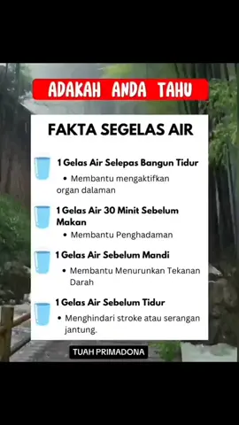 Fakta 1 gelas air putih nihh.. #infokesehatan #tipskesehatan #hidupsehat #infosehat #tipssehat #kesehatan #tipsherbal #obatherbal #jamuherbal #obatalami #tipsalami