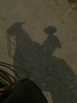 #lyrics #corridos #lostigresdelnorte #rolitaschidas #parati #videoviralitiktok #rolitas #estadosparawhatsapp #fouryou #subtitulos #CapCut 