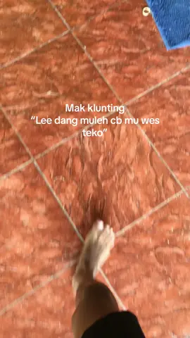 Pora well🤩🤙🏻 #4u #cbbiru #cbindonesia #ponorogo24jam #xyzbca #fypシ 