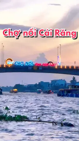 Chợ nổi Cái Răng hấp dẫn , ngắm bình minh trên sông Cần Thơ #langdulichsinhthaiongde #ongdetiktok #langdulichongde 