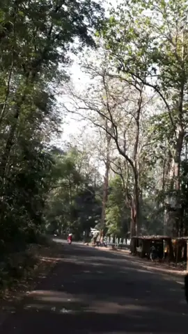 a day in my life edisi ke pasar😅 #kaliwungukendal#boja#xyzbca #fyp#pasarbojakendal #CapCut 