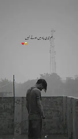 Hum tere yaad mai rehty nhi - #CapCut #foryoupage #grow #trending #crew07 