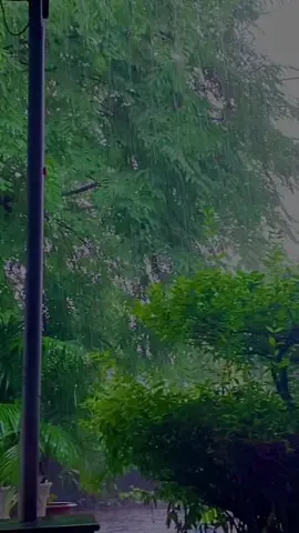 Ko biết đi làm bạn ấy có đem theo áo mưa ko ?  