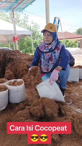 #cocopeat #fertigasi #petanimodern 