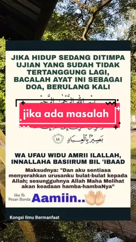 jika sedang dalam masalah, baca ayat ni. in sha allah, allah swt akn tlg kt beri in jln penyelesaiannya. #bismillahfyp #fypシ #fypシ゚viral #doaislam #doamujarab #aamiin 