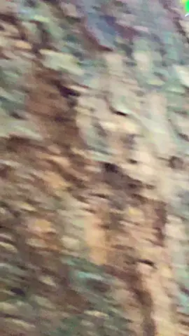 Plan ta kemon ? 🥹 @Priya_07 ❤️‍🩹 Tmr ohh kosto hobe nH amar ohh 😭🥀💔 #typ #viralvideo #lyrics #akash_priya07 #soikotsquad #couples #romantic #heartbroke #Love #care #feel #moment #trending #sound #fyp #viral #unfrezzmyaccount @TikTok 