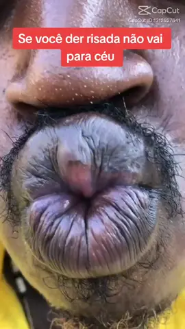 #viral #tiktokviral #bicudinho.