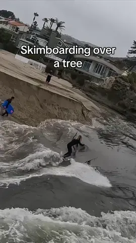 River wave over a tree, sometimes the river brings unexpected things. Captured by @SoLagLocal 