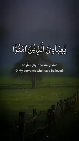 Episode__254💕 #Quran #عبدالرحمن_مسعد @Quran 
