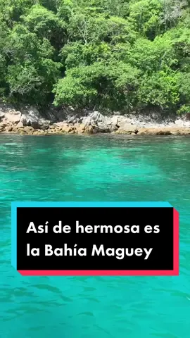 Así de hermosa se ve la Bahía Maguey 😍 #playasmexicanas #VacacionesDeVerano #Playas #vacaciones #huatulco 