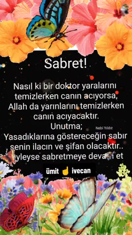 #anlamlısözlervideolar #mevlanasözleri #kayserili38🇹🇷 
