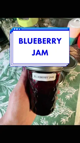 My own fresh Blueberry Jam 🫐 8 cups fresh homegrown Blueberries  2 1/2 cups Suga  2 tbsp. Lemon juice 🍋 #blueberryjam  Iv also made #rasberryjam and #strawberryjam this year and wasted nothing! 💪🏼 Thats whats it all about for me.  🫐🍓🫐🍓🫐🍓🫐🍓🫐🍓🫐 #homesteading #makingjam #jam #homegrownblueberries #blueberryplant #blueberrytiktok 