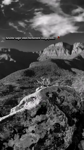 🥀                                                                                 #sözbirak📌 #storiylikvideolar #fyp #keşfet #öneçıkar #keşfetbeniöneçıkar #kesfetteyizzzzz #efkarlıvideolar #kurtcemuzikler #ez04_ 