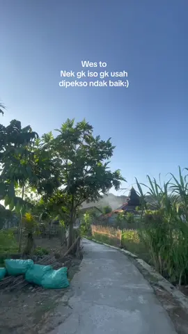 #koyolagiwingi #dumes #guyonwaton #guyonwatonofficial #guyonwatondumes #lagujawa #lagujowo #lagujowohits #katakata #katakatastory #katakatajawa #katakatasad #katakatapagi #katakatajowostorywa #fypage #beranda #berandafypシ #fypdong #berandatiktok #likeaboss #jawapride #jawatengah #jowostory 