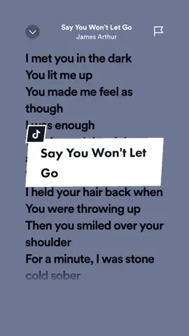 Say You Won't Let Go!#music #sayyouwontletgo #jamesarthur #sayyouwontletgojamesarthur #leohernandezlyrics_ #fypage #spotify #trending #songlyrics #musiclyrics #fyp #viral #fypシ #trendingsongs 