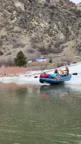 Best Launch ever! 🐶 (IG🎥: @britttten)  #Extreme #UNREEL #dogtok #dogsoftiktok #cute 