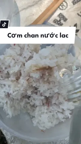 Cơm chan nước lã món ăn đi nương #giangthidua #cuocsonghangngay #cuocsongoque #cuocsongoque #buatrua 