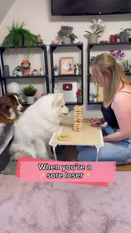 Well someone can’t stand losing a game.. 🙄 #dog #tabletop #game #funny #cutedog 
