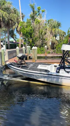 Ever load a boat up with a turkey on board? #boat #turkey #florida #floridaman #boatramp #qualifedcaptain #thanksgiving #fish #fishing #Outdoors #outdoor #petturkey #beach #ocean #sea #turkeyleg 